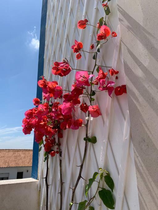 Joia Da Casa Villa Sobral  Ngoại thất bức ảnh